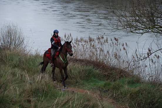 José Romera medalla de oro en el Trec** Internacional de Tordesillas